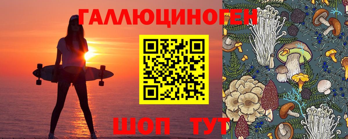 Псилоцибиновые грибы прущие грибы  Псилоцибиновые грибы GOLDEN TEACHER  Ижевск  Вход с VPN 
